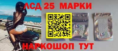 прущие грибы Будённовск