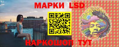 прущие грибы Будённовск