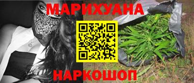 прущие грибы Будённовск