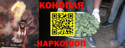 прущие грибы Будённовск