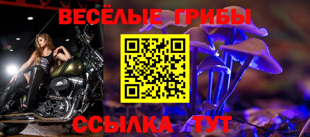 Псилоцибиновые грибы ЛСД Ярцево